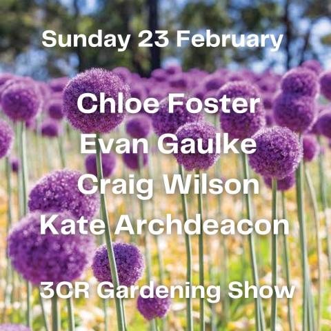 23 February, Chloe Foster joined by Evan Gaulke, Craig Wilson and Kate